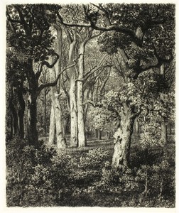 Art by Adolphe Martial Potémont