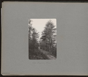 [Old Sudbury Road]