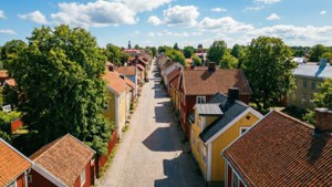 Old Town Summer Aerial