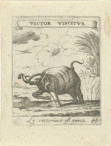 Olifant en slang