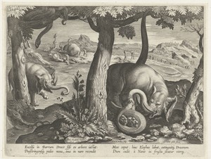 Olifant in gevecht met slang