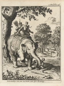 Olifant vertrapt zijn oppasser
