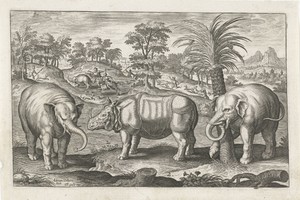 Olifanten en neushoorn