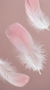 Ombre Feathers