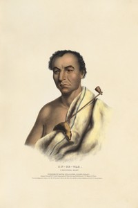 On-ge-wae - A Chippewa Chief