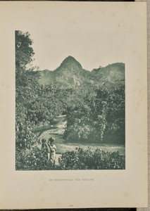 On Ruanwella Tea Estate
