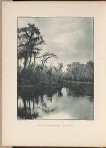 On the Ocklawaha
