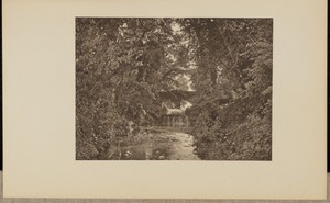 On the River Taunton