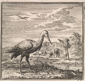 Ooievaar aan de waterkant
