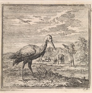 Ooievaar aan de waterkant