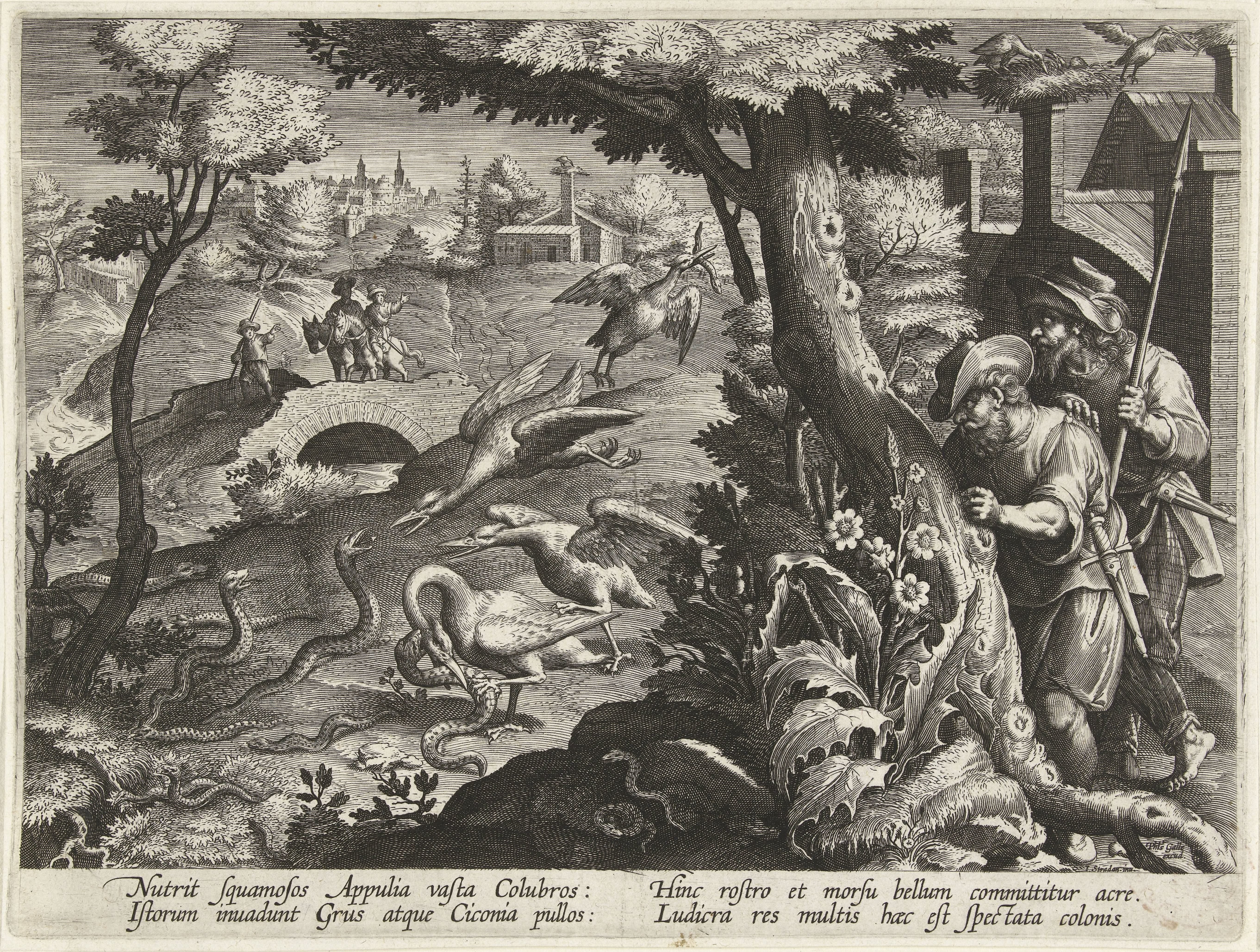 Ooievaars die slangen vangen by Jan Collaert (II)