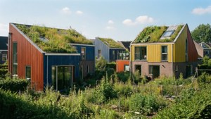 Oosterwold Eco Homes