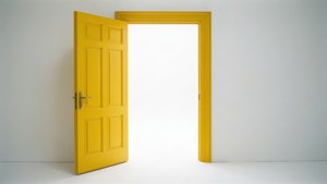 Open Door White Void