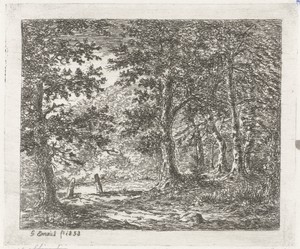 Open plek in het bos