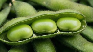 Open Pod Reveal