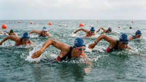 Open Water Race