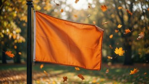 Orange Flag Autumn Park