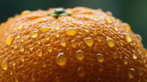 Orange Peel Macro