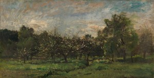 Orchard
