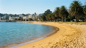 Oriental Bay Paradise