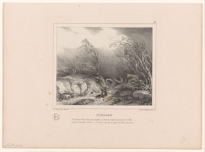 Orkaan