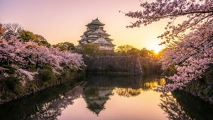 Osaka Castle at Dawn