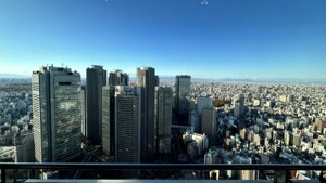 Osaka Skyline from Abeno Harukas