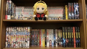 Otaku Bookshelf