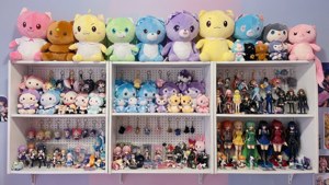 Otaku Merch Wall