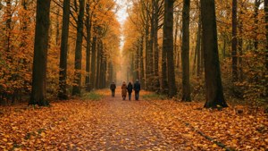 Oude Warande Autumn