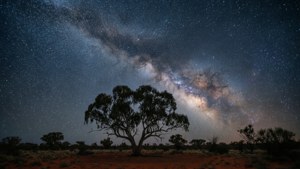 Outback Milky Way