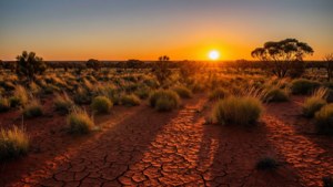 Outback Sunset Panorama