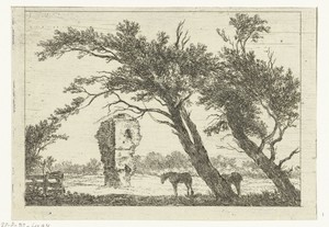 Overblijfselen van het huis van Gerard van Velsen