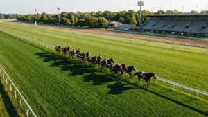 Overhead Race