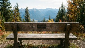 Overlook Bench