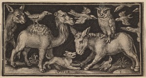 Owl on Back of Donkey, Bird on Back of Camel with Other Animals
