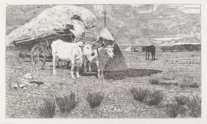 Oxen Yoked to a Cart (Maremma) (Bovi al carro (Maremma))