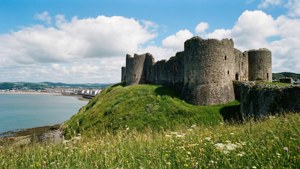 Oystermouth Castle View