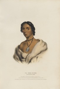 Pa-she-nine - A Chippewa Chief