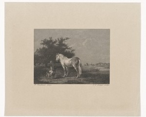 Paard en geit in de wei