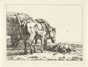 Paard en hond bij een hooiwagen