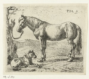 Paard en hond in een weide