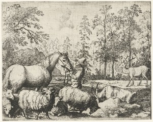 Paard en ruiter