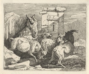 Paard, geiten en schapen