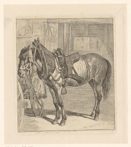 Paard met paardentuig