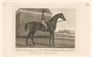 Paard met ruiter