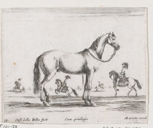 Paard met teugel om