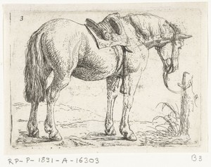 Paard met zadel