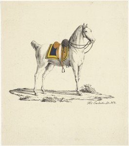 Paard met zadel en hoofdstel