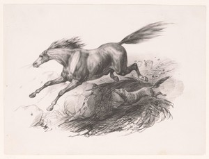 Paard opgejaagd door wolven
